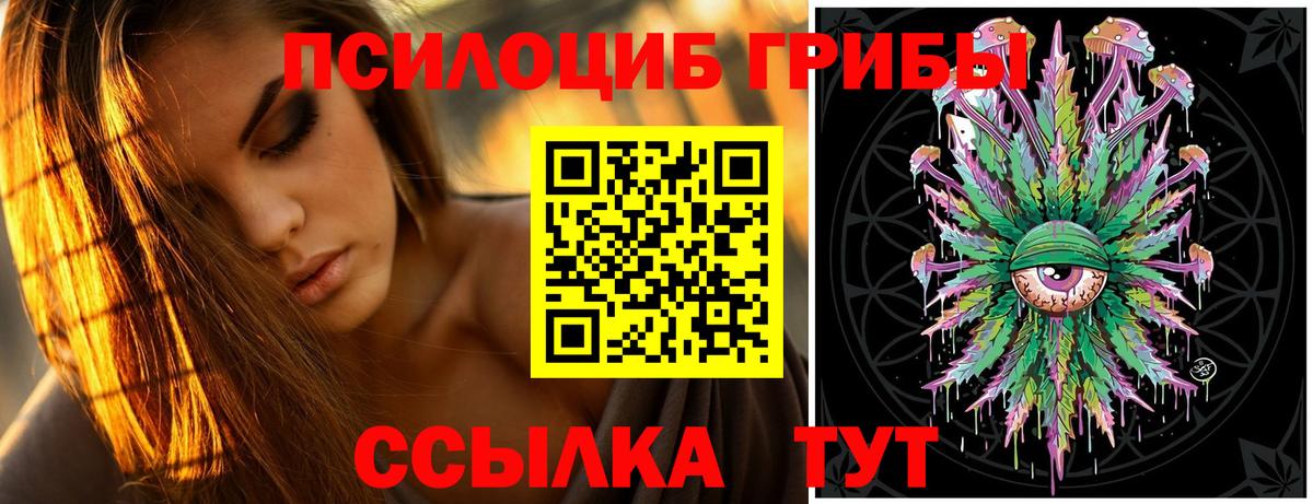 Псилоцибиновые грибы ЛСД Можга