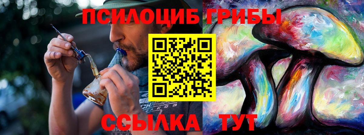 Можга  Псилоцибиновые грибы мухоморы  Вход с VPN 